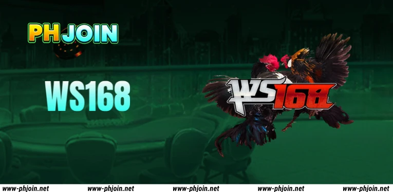 WS168 – Exciting Live Fights, Big Rewards